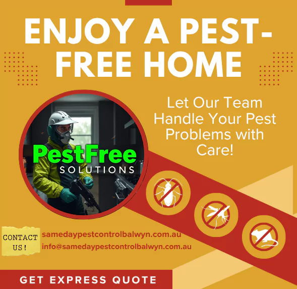 Pest Control Balwyn